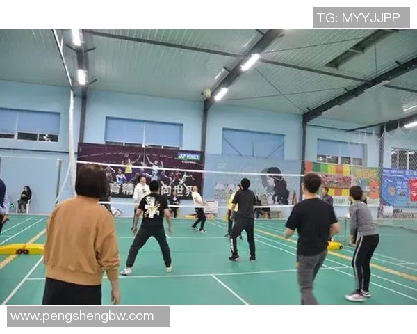 刘娜独家分享排球心得与技巧助你提升球技的秘密宝典