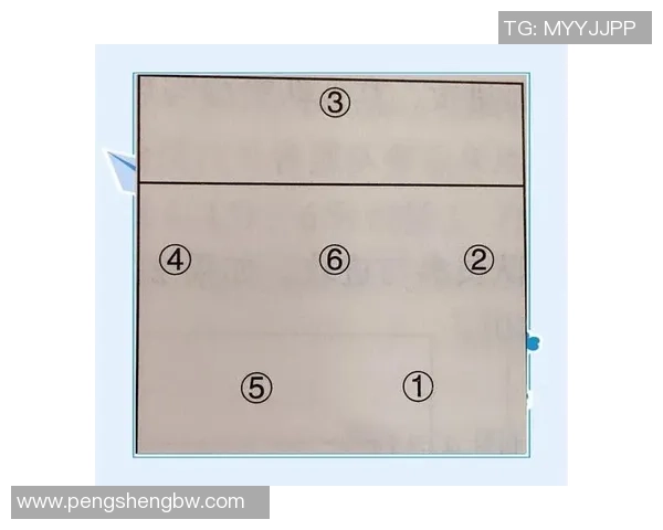 北京排球队反击战术全解析深度剖析排球比赛中的策略与技巧